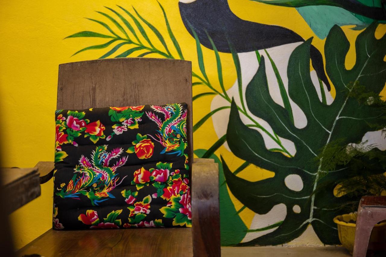 Tam Coc Brothers Homestay - Ninh Binh Eksteriør billede